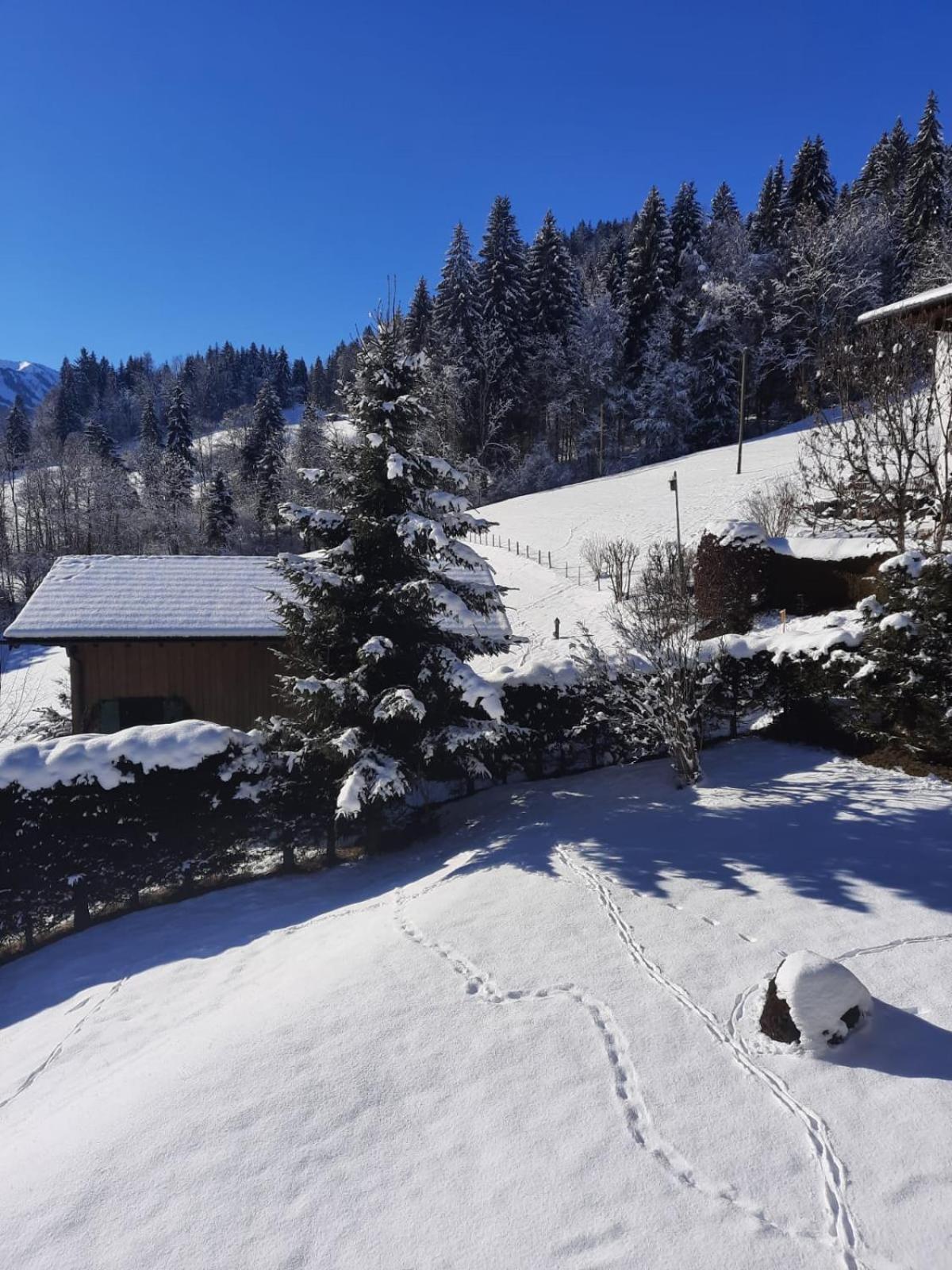 Berghof Mehlan Hotel Fischen im Allgaeu Room photo